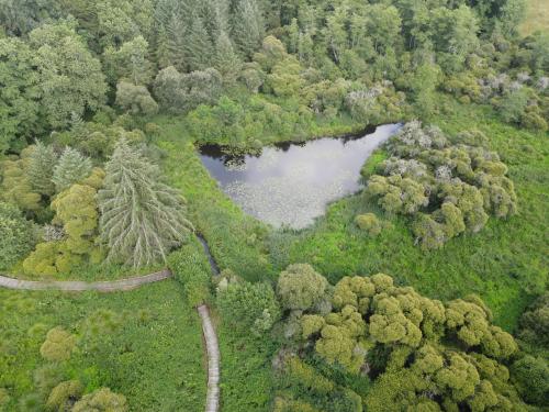 DJI_3052.JPG